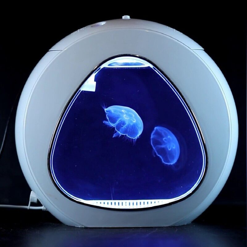 Small Desktop Jellyfish Aquarium - Jellyfish Tank  - Size Mini - Image 5