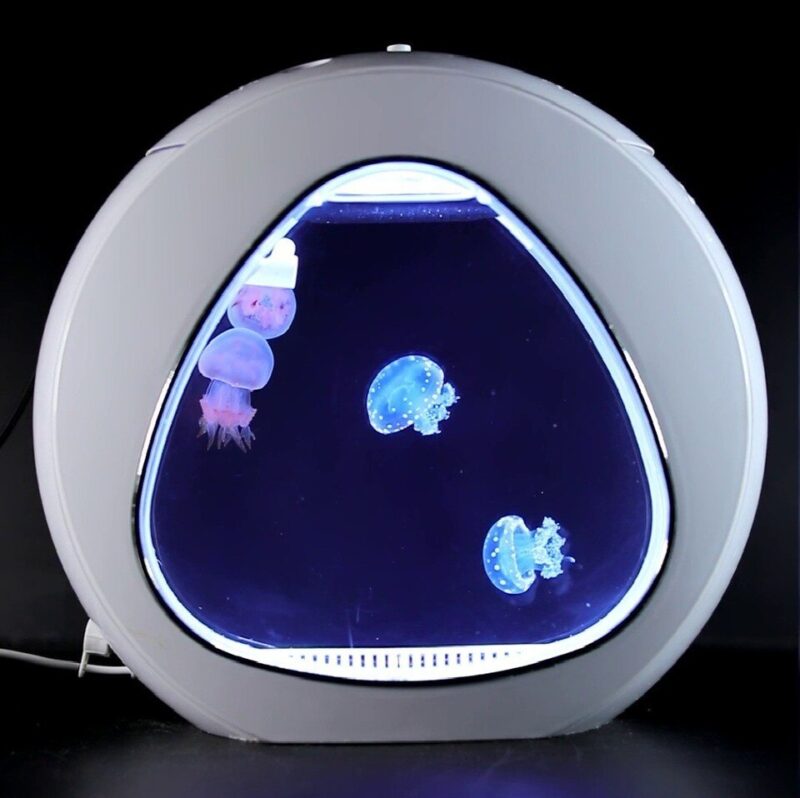 Small Desktop Jellyfish Aquarium - Jellyfish Tank  - Size Mini - Image 4