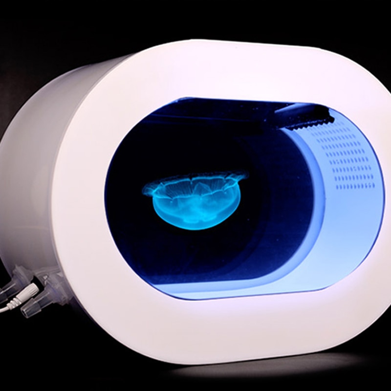 Modern Ecological Jellyfish Oval - Beautiful Aquarium Perfect for Home Or Office - Desktop Size - Image 4